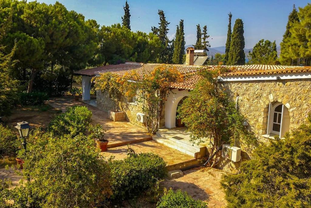 Villa Artemis In Small Kounoupi *