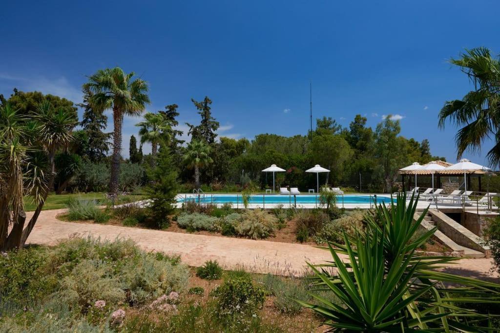 Villa Artemis In Small Kounoupi Porto Heli